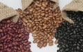 Kidney beans, pinto beans and black beans. Royalty Free Stock Photo