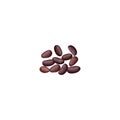 Kidney beans, white, haricot, cacao beans. Red beans, legume, realistic