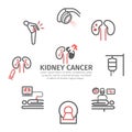 Kidney Cancer banner. Causes. Diagnostics. Line icons set. Vector signs for web graphics.