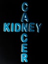 kidney cancer disease name displayed on illustrations
