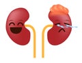 Kidney cancer and tumor cartoon