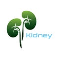 Kidney Care illustration design logo template symbol