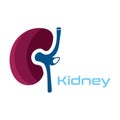 Kidney Care illustration design logo template symbol