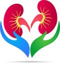 Kidney care logo Royalty Free Stock Photo