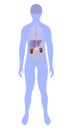 Kidney disease