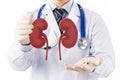 Kidney disease with medicine Royalty Free Stock Photo
