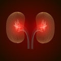 Kidney disease silhouette icon. Stones in the kidneys. Pyelonephritis. Urolithiasis disease