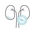 kidney diseases line icon, outline symbol, vector illustration, concept sign