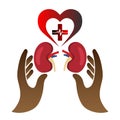 Save our kidneys properly to save life