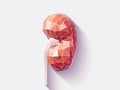 Kidney faceted Royalty Free Stock Photo