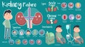 Kidney Failure infographic Royalty Free Stock Photo