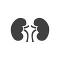 Kidney Related Vector Icon