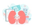 Kidney health concept