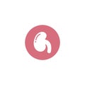 Kidney icon