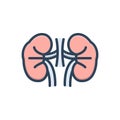 Color illustration icon for Kidney, renal and anatomy