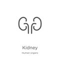 kidney icon vector from human organs collection. Thin line kidney outline icon vector illustration. Outline, thin line kidney icon