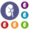 Kidney icons set