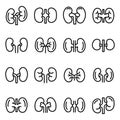 Kidney icons set, outline style