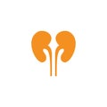 Kidney illustration Royalty Free Stock Photo