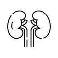 Kidney internal organs line icon, concept sign, outline vector illustration, linear symbol. Royalty Free Stock Photo