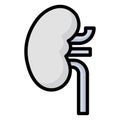 Kidney Isolated Vector icon which can be easily modified or edit