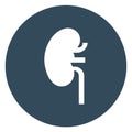 Kidney Isolated Vector icon which can be easily modified or edit