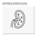 Kidney line icon