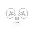 Kidney line icon