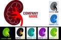 Kidney logo