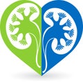 Kidney logo