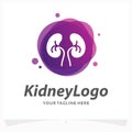 Kidney Logo Design Template Royalty Free Stock Photo
