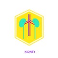Kidney logo template. Silhouette human anatomy nephrology. Vecto