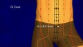 Kidney Meridian, video, 3D Illustration