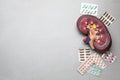 Kidney model and pills on grey table, flat lay. Space for text