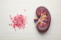 Kidney model and pills on white wooden table, flat lay