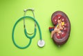 Kidney model and stethoscope on green background, flat lay