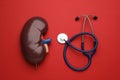 Kidney model and stethoscope on red background, flat lay