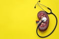 Kidney model and stethoscope on yellow background, flat lay. Space for text Royalty Free Stock Photo