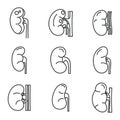 Kidney organ icons set, outline style