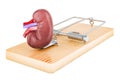 Kidney Pain concept. Human kidney inside mousetrap. 3D rendering