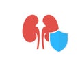 Kidney protection concept logo design. Human kidney protect concept vector design and illustration. Royalty Free Stock Photo