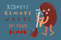 Kidney remove waste in your blood. Vector illustration