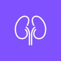 Kidney renal vector urology line icon. Outline disease kidney care clinic concept icon