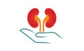 Kidney save