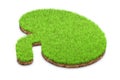 Kidney shape made of green grass and piece of soil land. Kidney concept. 3d illustration.