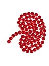 Kidney shape made out of tablets
