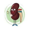 Kidney funny cartoon