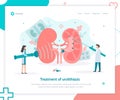 Kidney stones treatment landing page