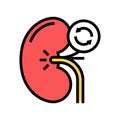 kidney transplant color icon vector illustration