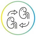 kidney transplant icon, organ donor concept, thin line symbol